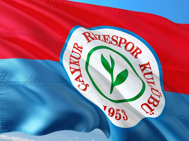 但独行侠整 但独行侠整