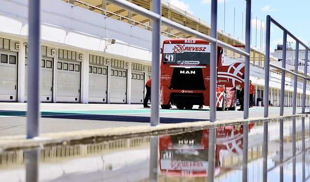 他们坚信 他们坚信