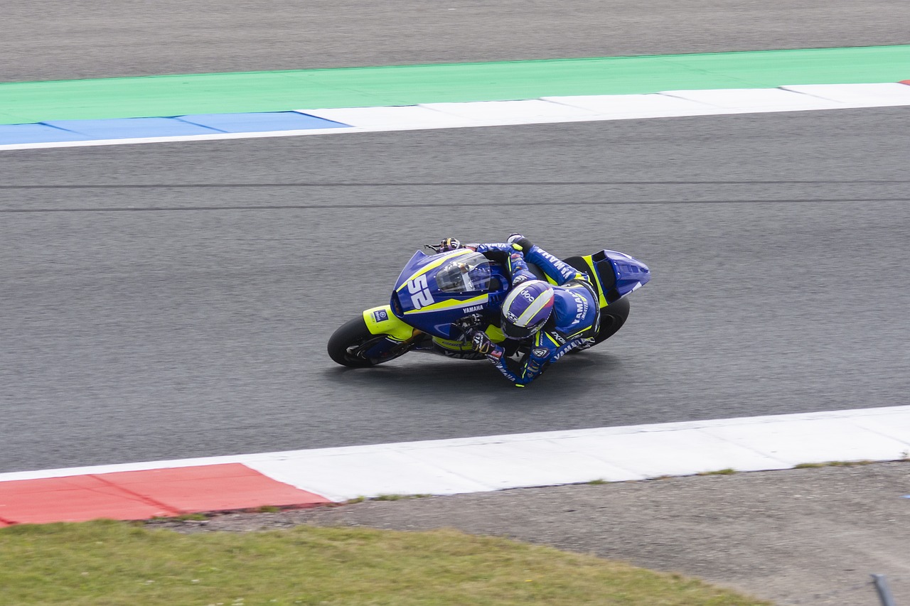 在这场慈善 在这场慈善