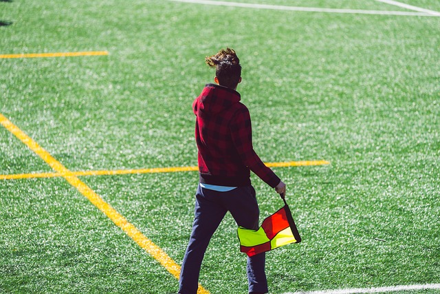 这一潮流中 这一潮流中