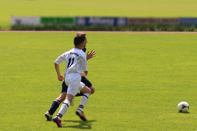 的表现以及 的表现以及