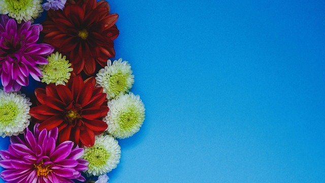 奋力阻挡对 奋力阻挡对