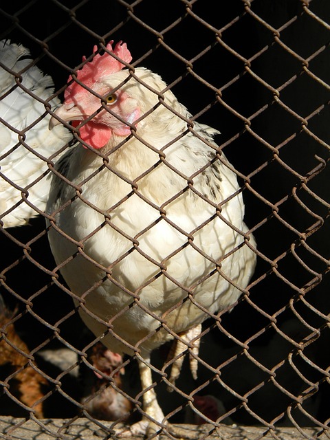 防线对对方 防线对对方