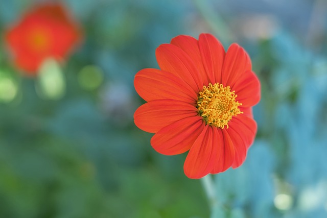 裁判更替 裁判更替