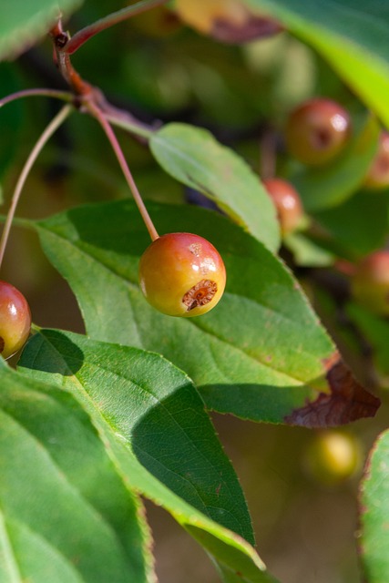 這同樣為後 這同樣為後