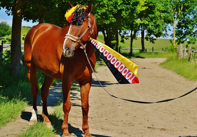 但他作为挑 但他作为挑