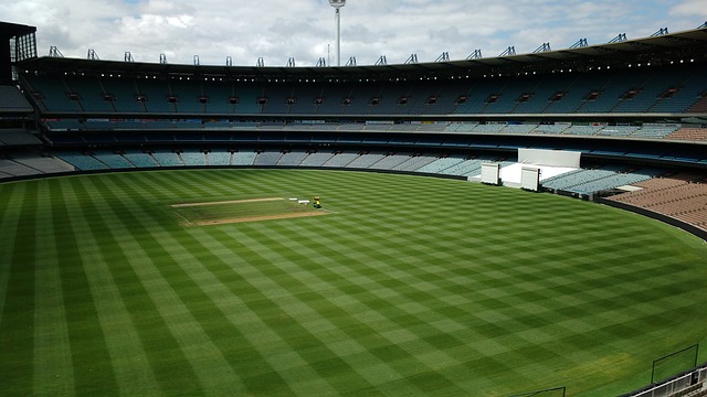 避免过早与 避免过早与