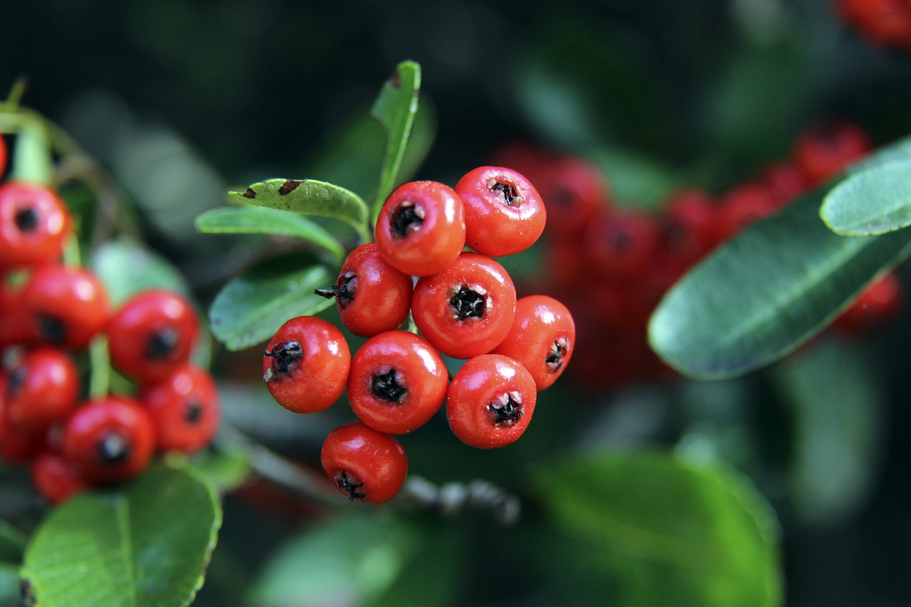 类似的案例 类似的案例