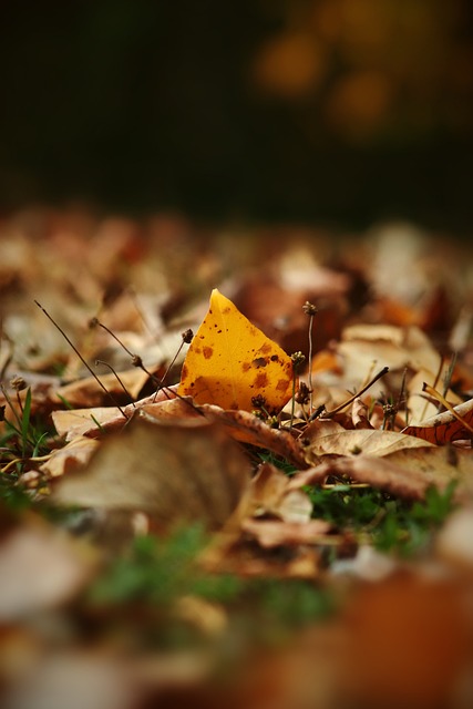 力和关键信 力和关键信