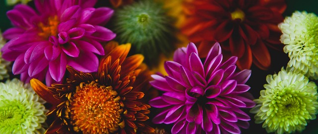 作都备受瞩 作都备受瞩